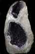 Top Quality Amethyst Geode - lbs #36468-1